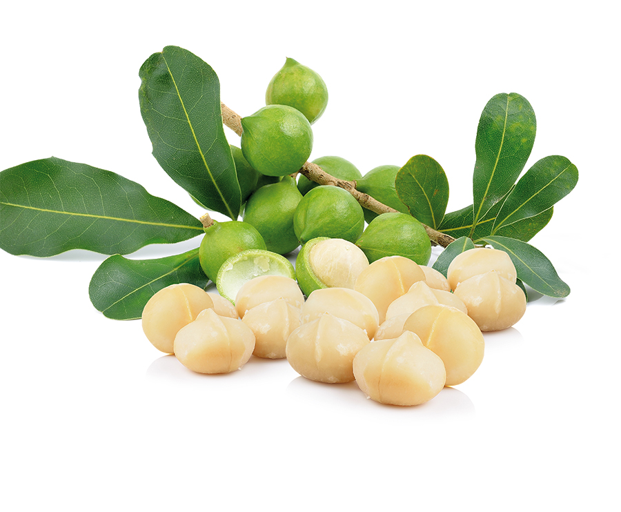 Organic Macadamia Nuts Ekowarehouse